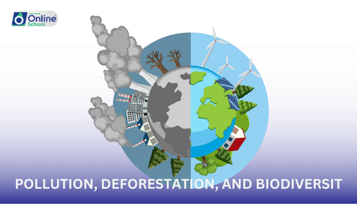 Lesson 08: Pollution, Deforestation, and Their Effects on Biodiversity